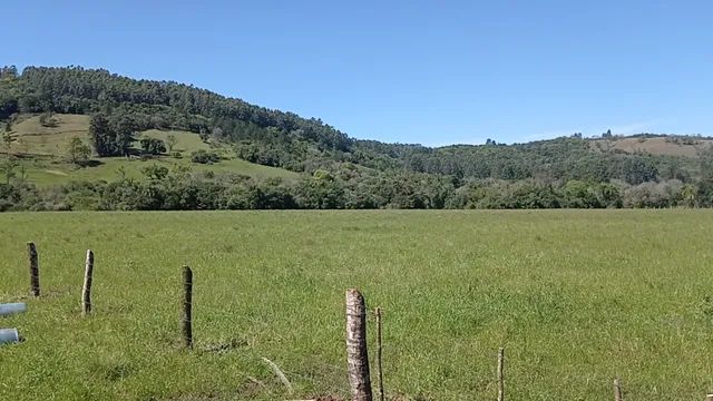 Chácara 23 hectares plano para pecuária  - Foto 4