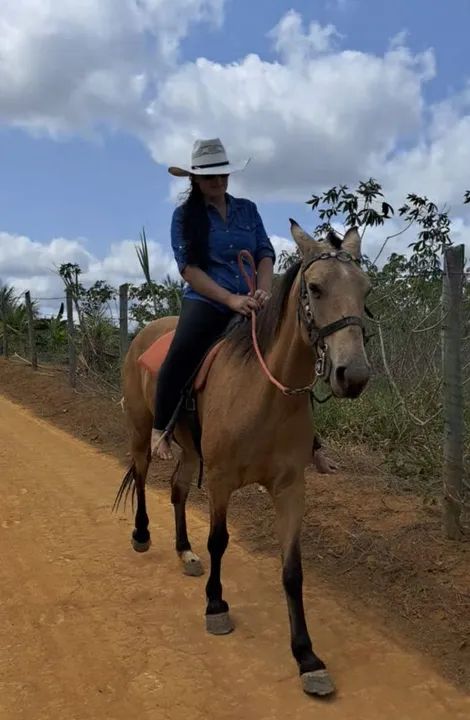 Egua baia prá vender  - Foto 4