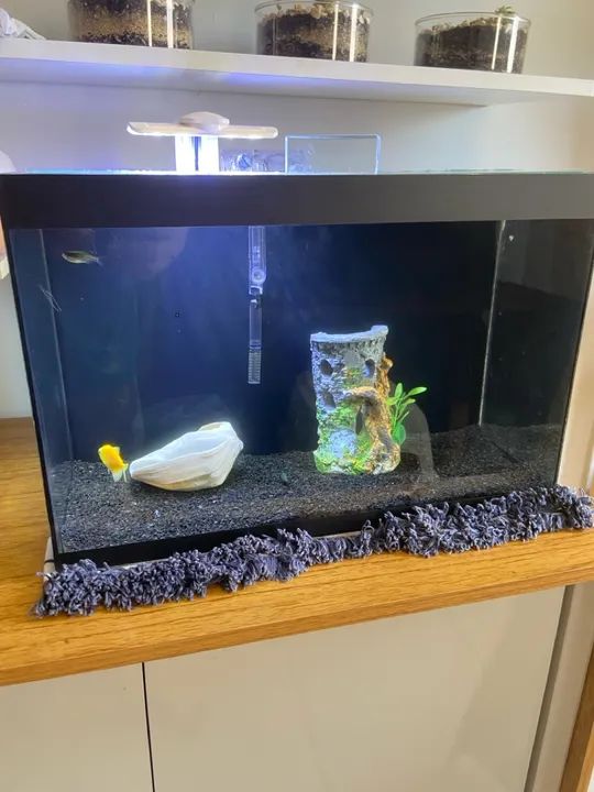 Aquário 28 Litros Completo - Foto 4