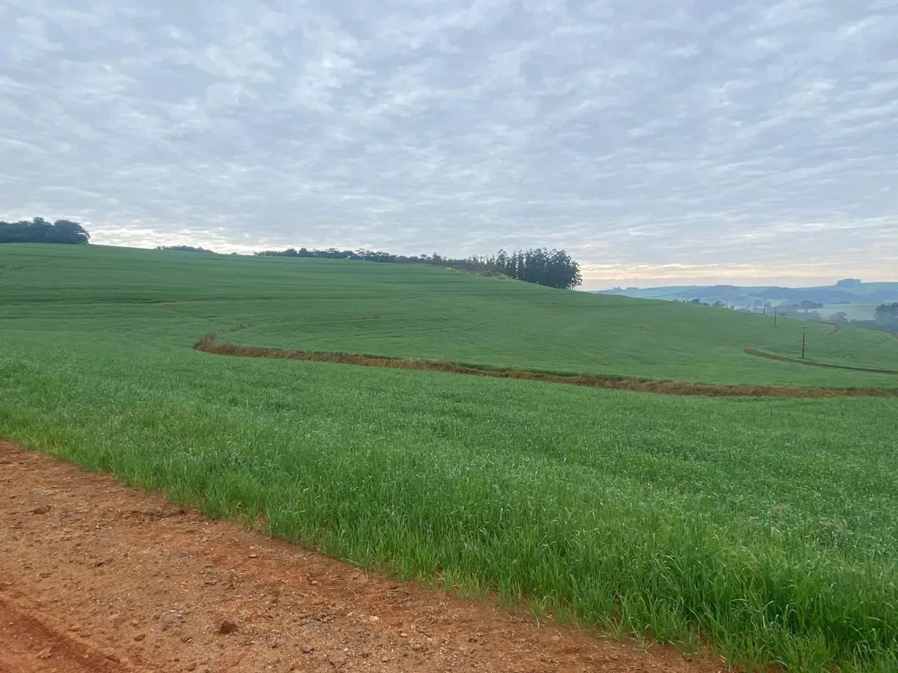Área Marilândia  do Sul  - Foto 2