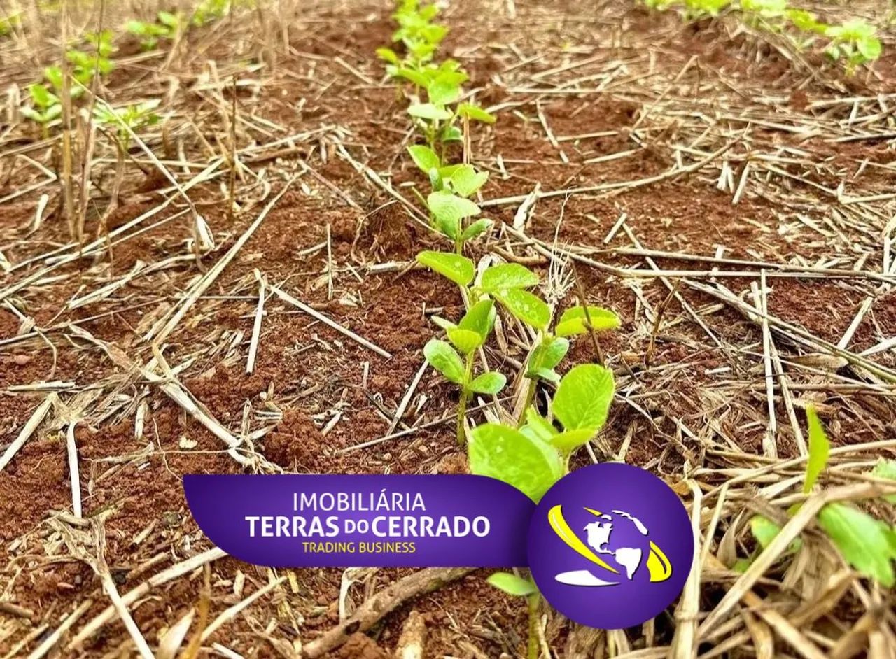 FAZENDA COM 500HEC PRA LAVOURA, IRRIGADA!!
