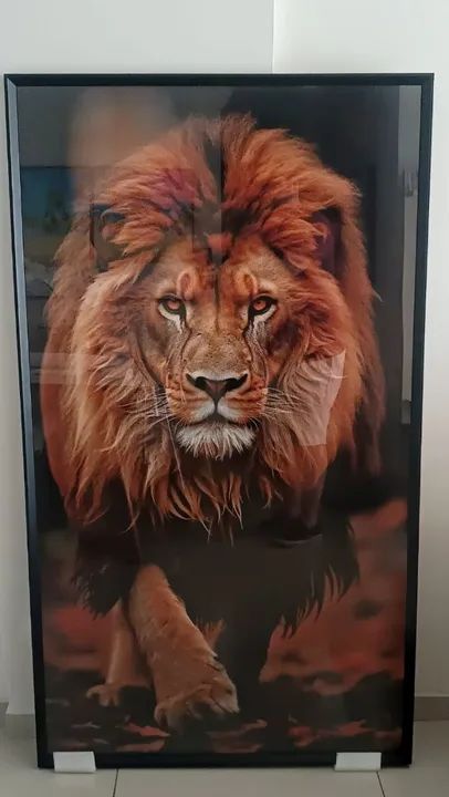 Quadro de parede Tema Leão 