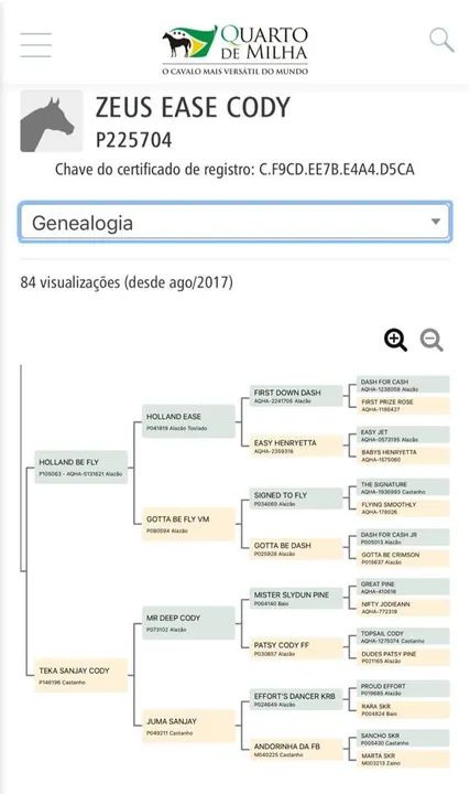COBERTURA DISPONÍVEL  - Foto 2