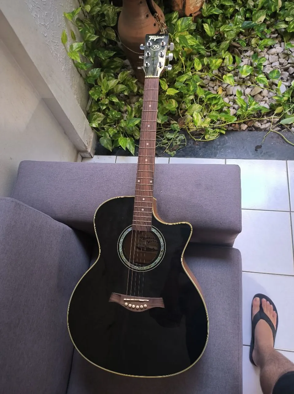 Violão Tagima tw - 29 Woodstock