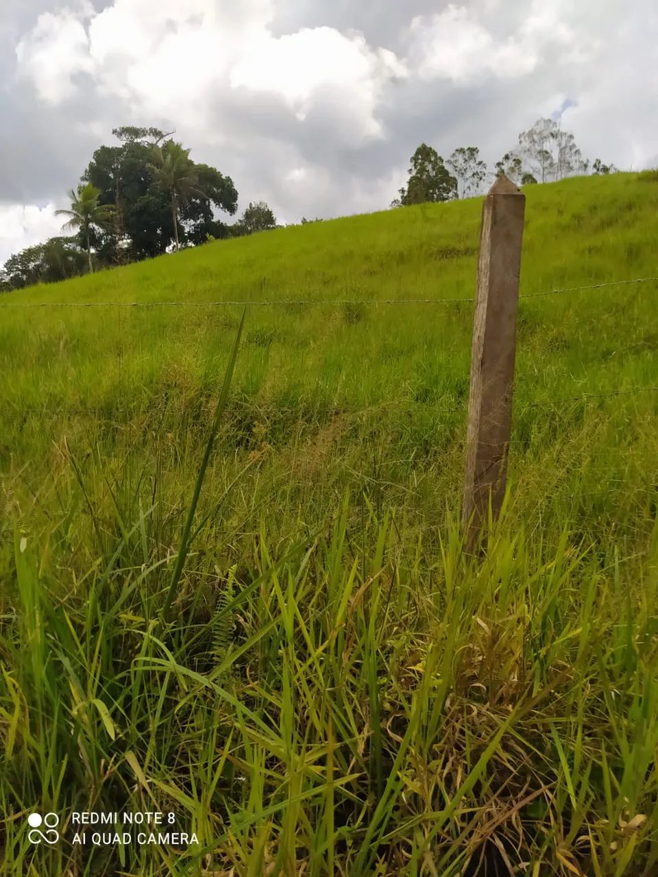 Fazenda em Teolandia - Foto 2