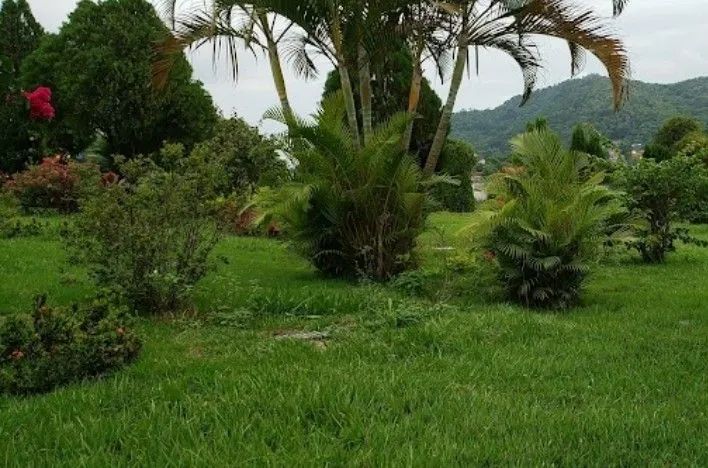 Vendo Jazigo no Cemitério  Parque da Colina em Niterói.   - Foto 3