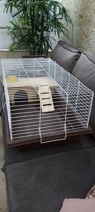 Gaiola para coelho, porquinho da índia e chinchila  - Foto 2