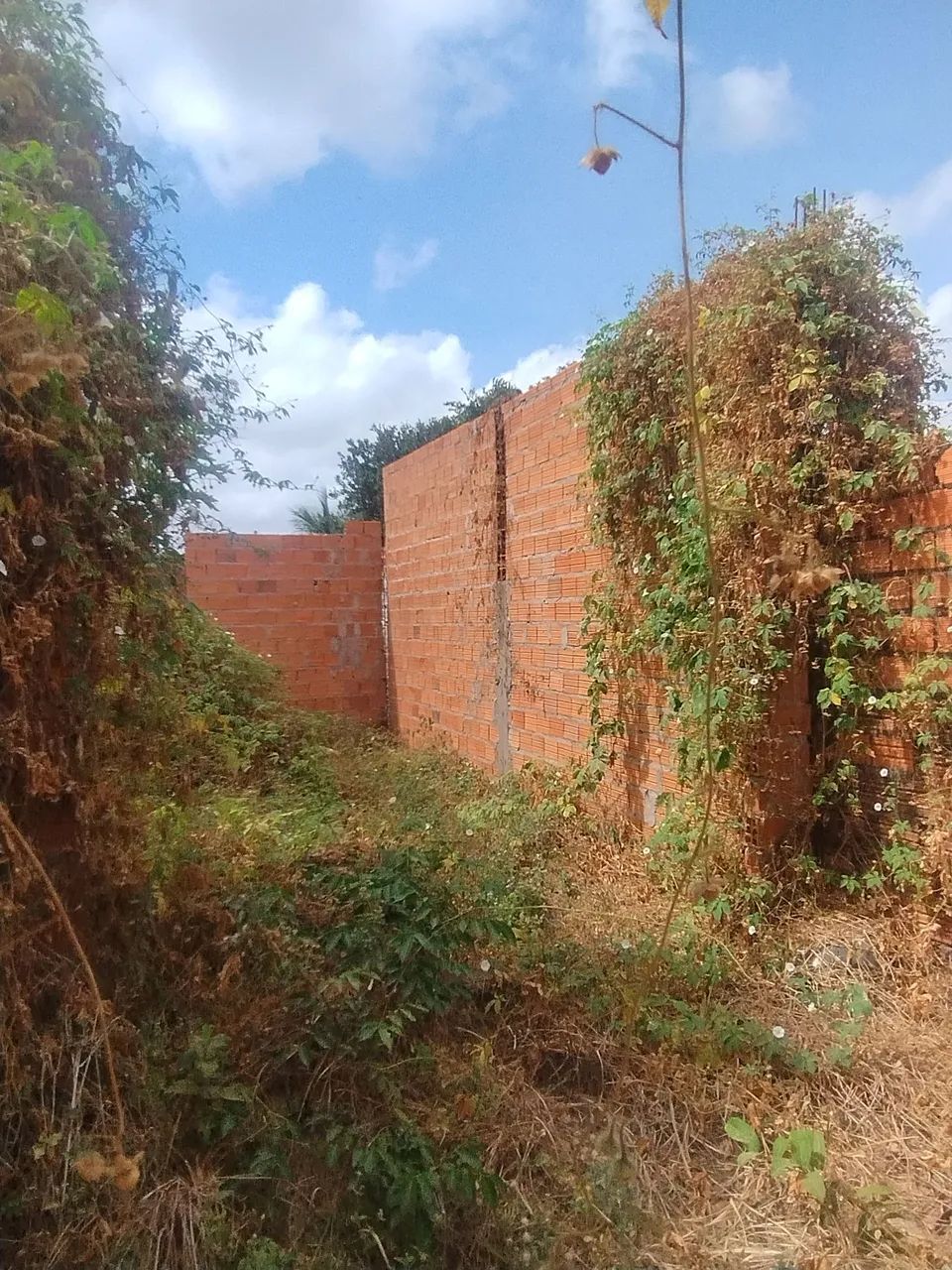 Vendo terreno ao lado da parada de ônibus no Eugênio Pereira Paço do Lumiar. - Foto 4