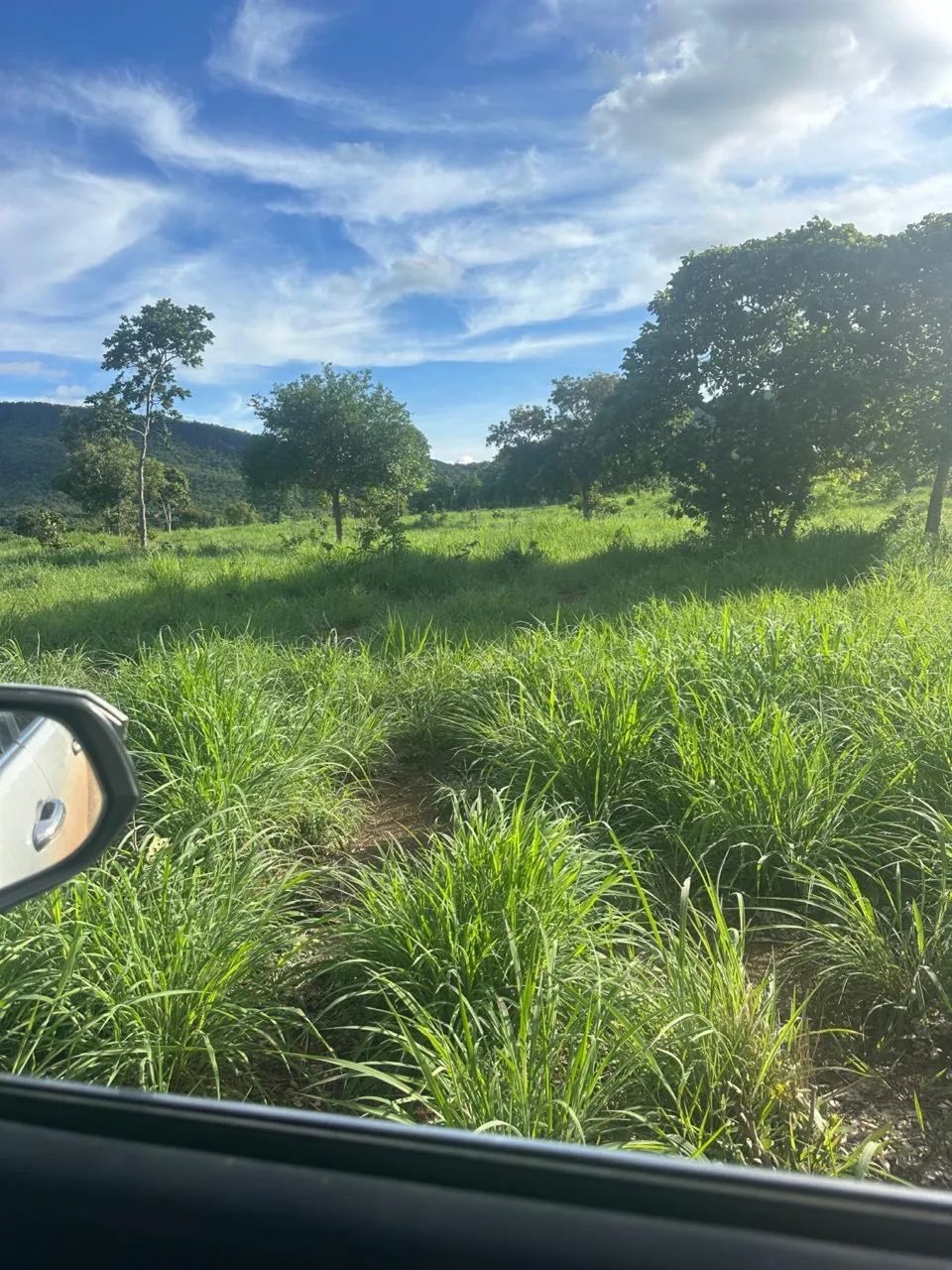 Fazenda de 58 alqueires em Faina- Go - Foto 2
