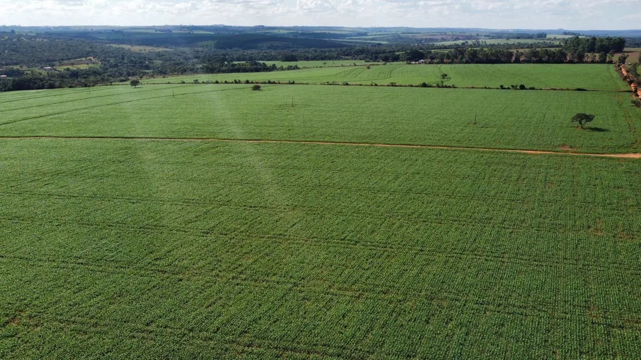 Fazenda município de catalão  - Foto 2