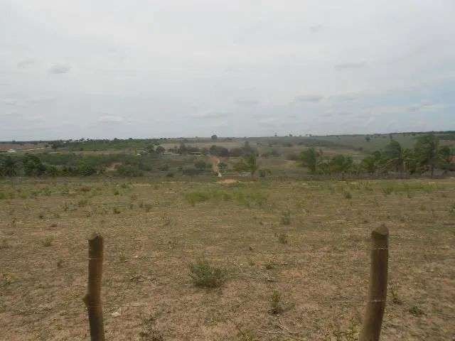 Gleba e terreno 55 hectares São Gonçalo do Amarante RN - Foto 3