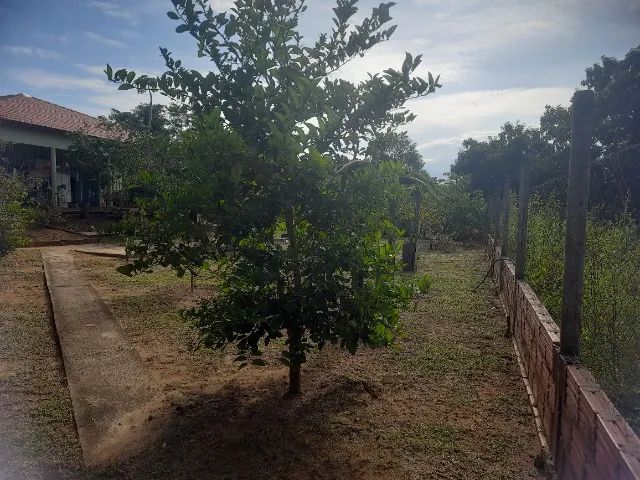 Vendo linda Chácara/Sitio de 6,5 Alqueires em Novo Acordo -Tocantins - Foto 2