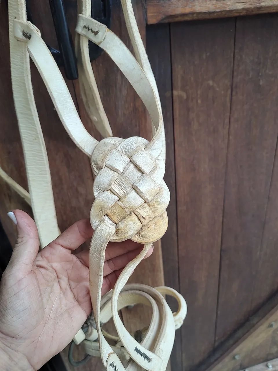 Cabresto buçal modelo sapo em couro 