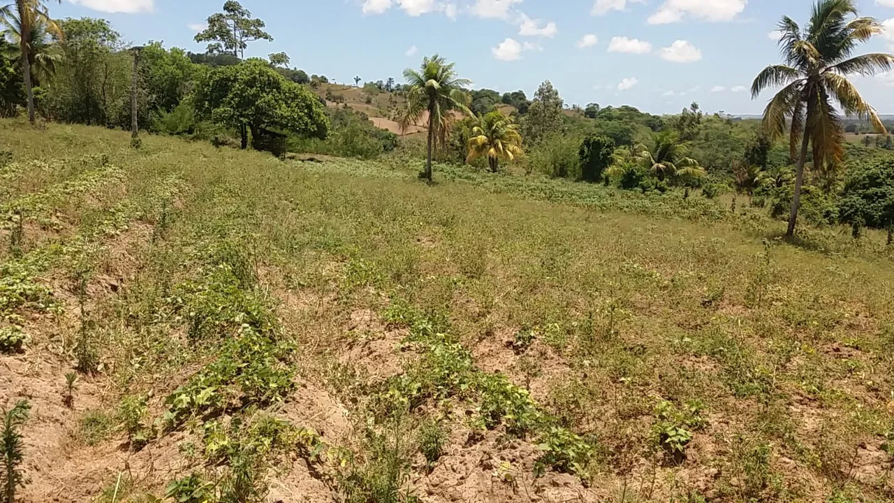 Terreno 1 hEctare