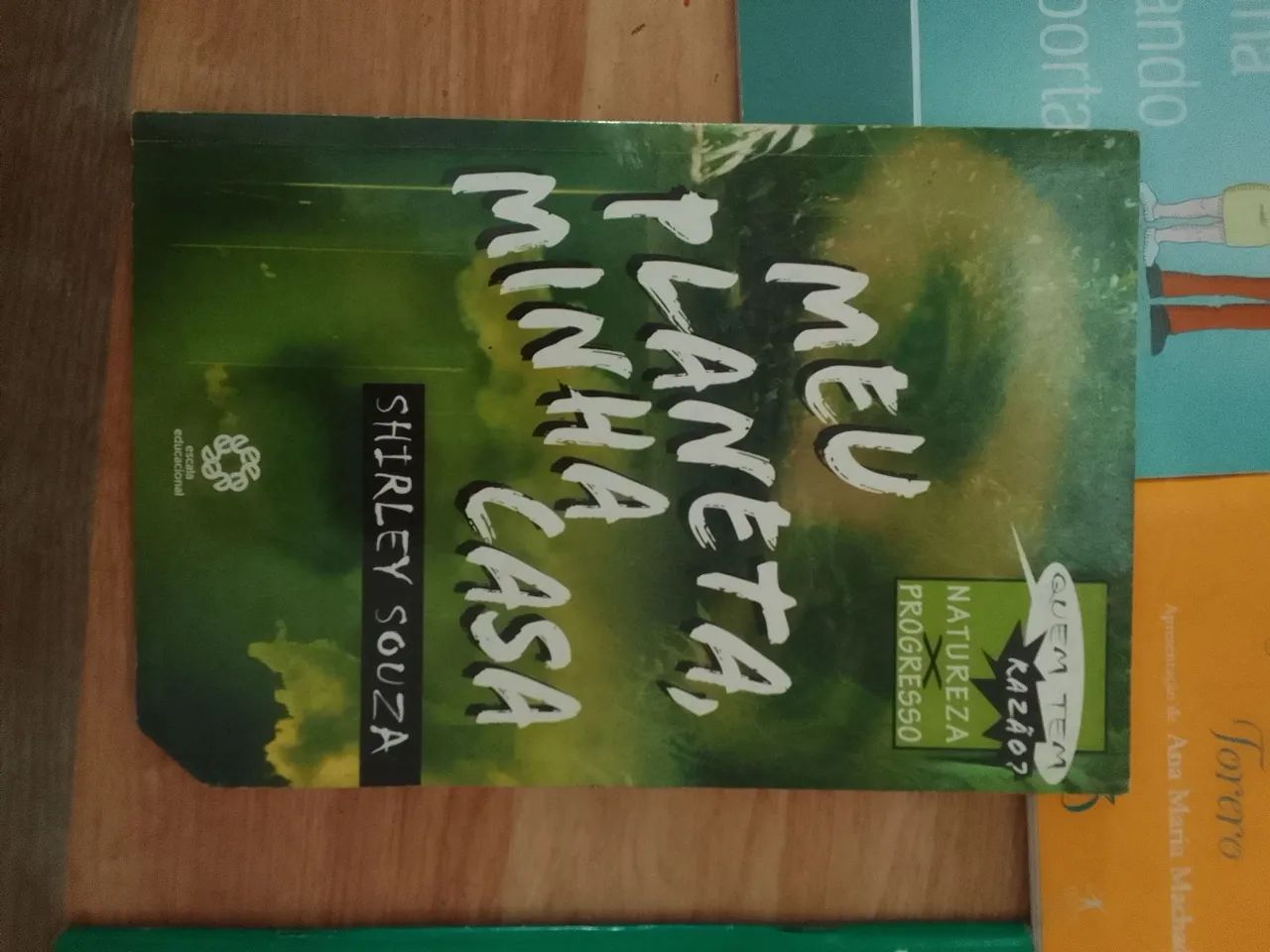 Coleção de Livros Infantis, literaturas e Didáticos - Diversos Títulos - Foto 3
