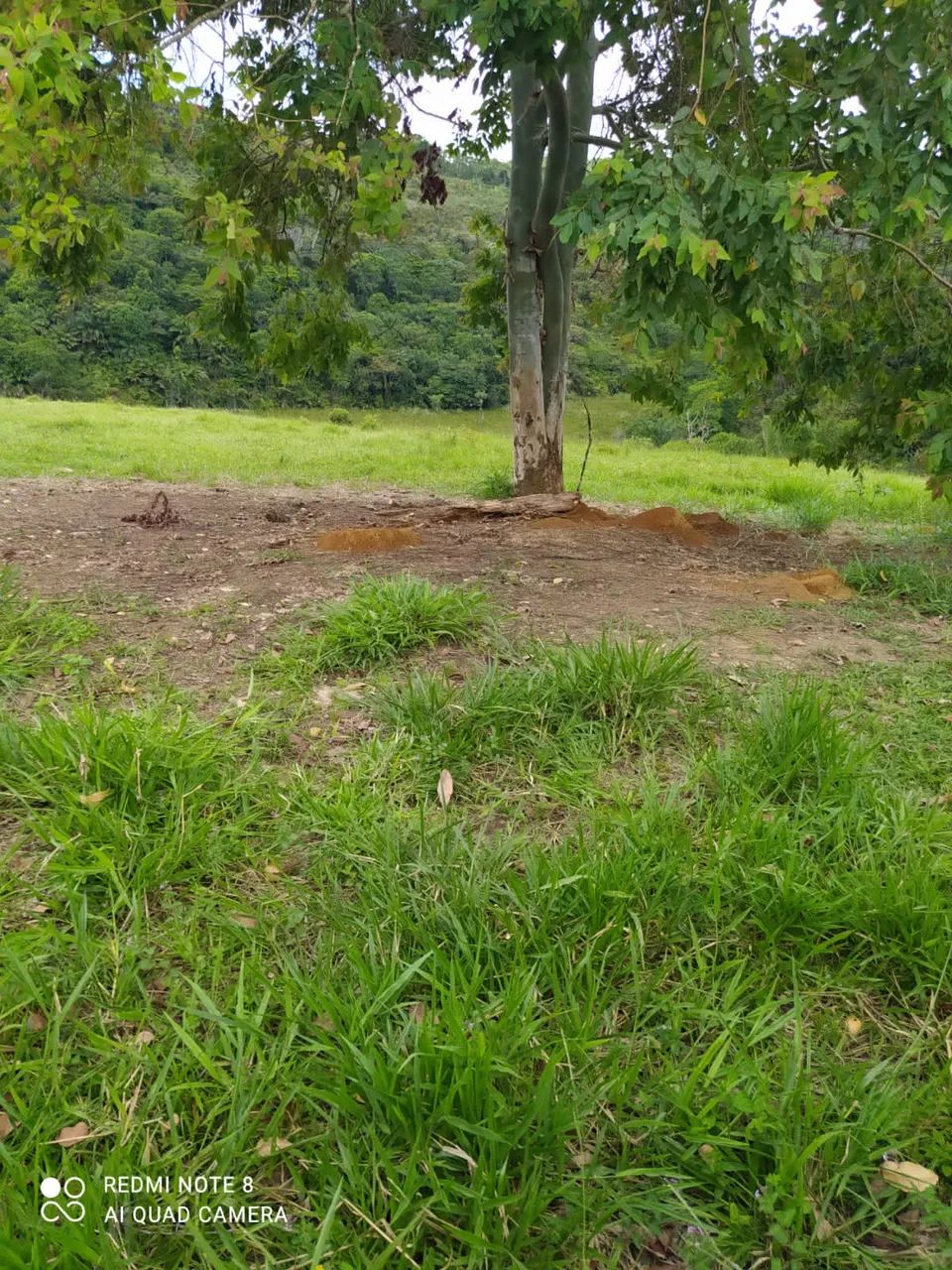 Fazenda em Teolandia - Foto 4