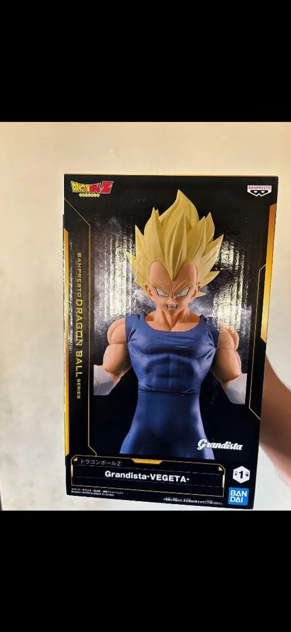 Vegeta grandista com caixa - Foto 4