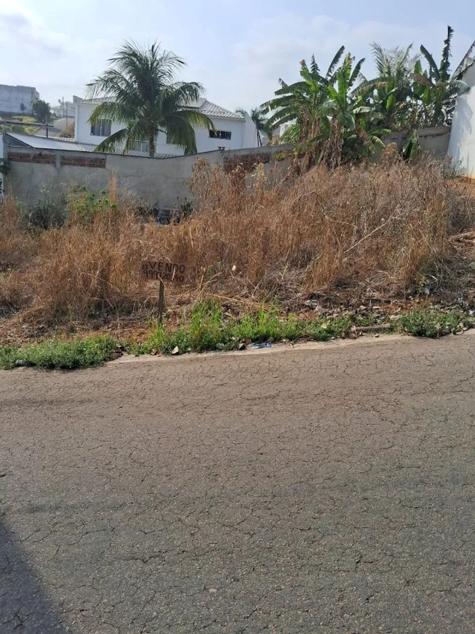 Terreno - Caiçara - Itaperuna/RJ - Foto 4