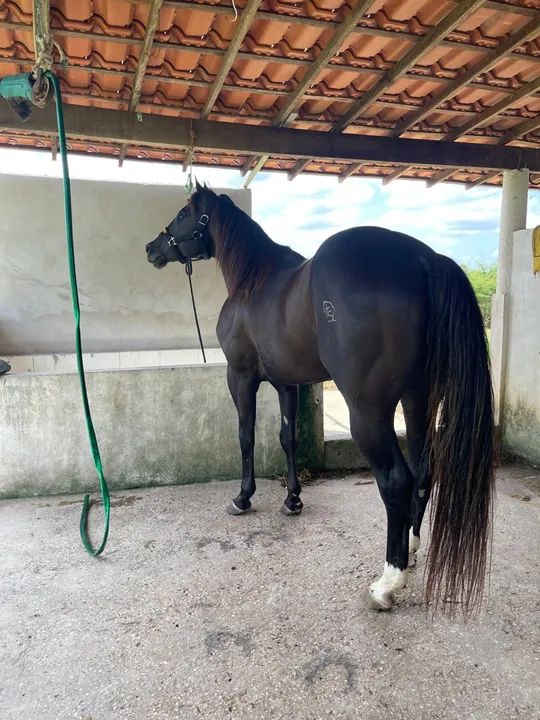 COBERTURA DISPONÍVEL  - Foto 3