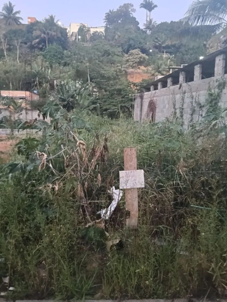 Foto - Viana - Primavera