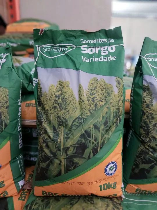 Sementes de Sorgo BRS Ponta Negra 10kg - GraSafra (Nova) - Foto 4