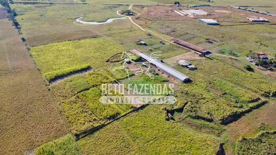 Fazenda/Sítio/Chácara para venda possui 290400 metros quadrados