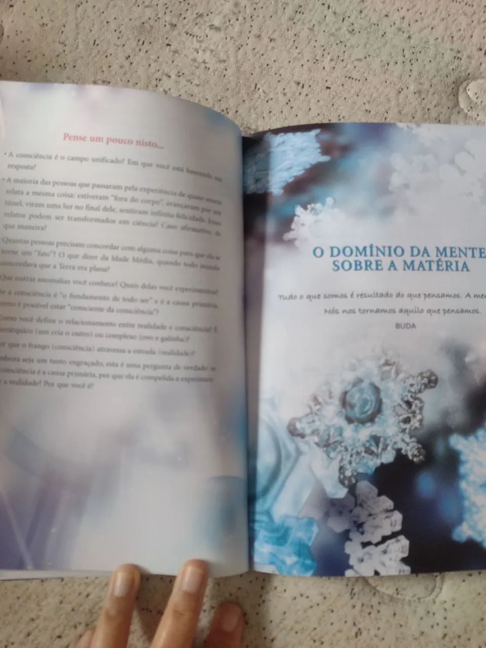 Livro Quem Somos Nós?  - Foto 4