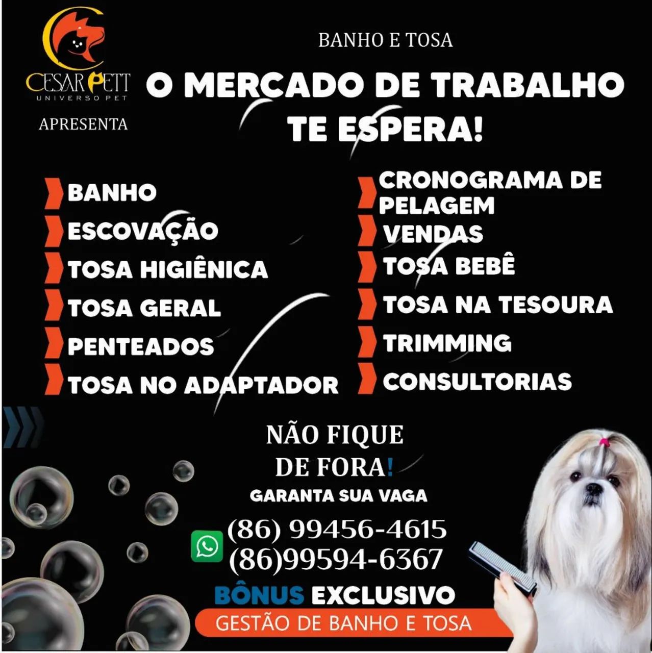 CURSO DE BANHO E TOSA PRESENCIAL VAGAS DISPONÍVEIS EM TERESINA PIAUÍ COM DIREITO A CERTIFI - Foto 2