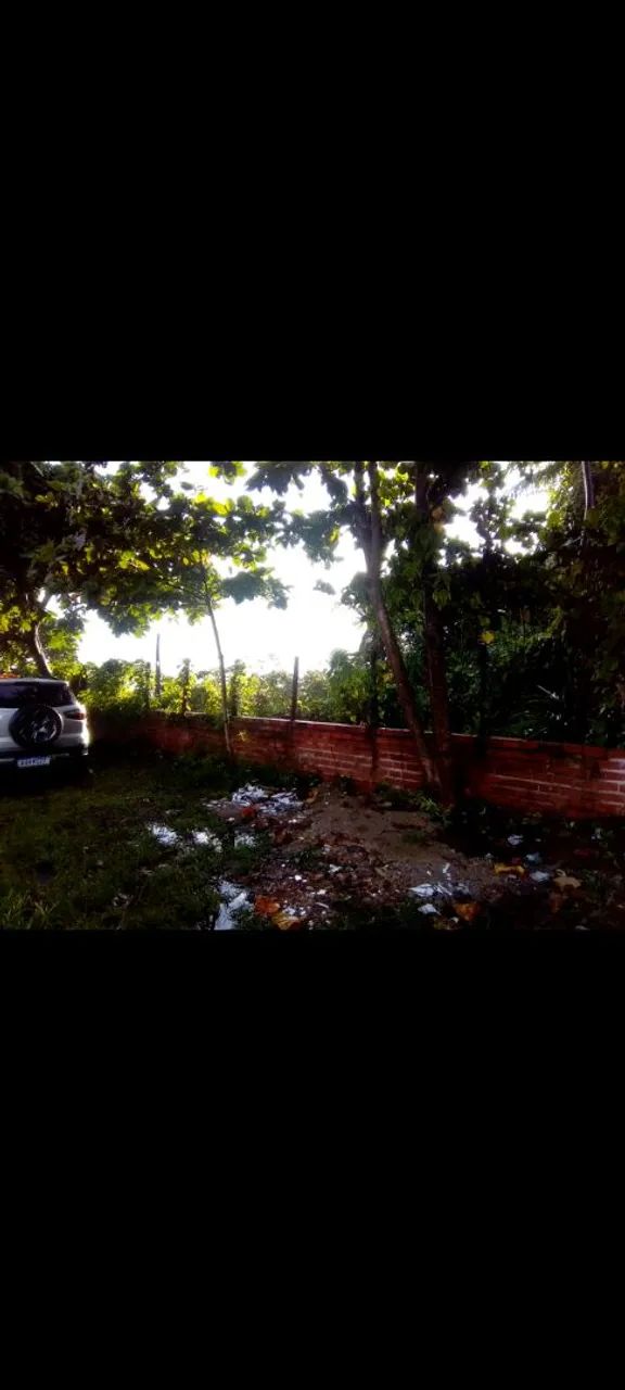 Vendo pedaço do paraíso muito verde! - Foto 3