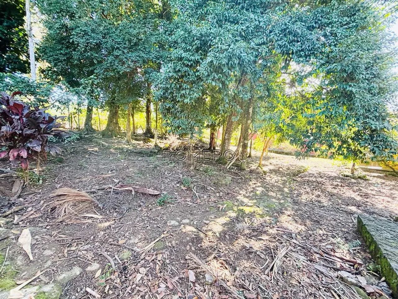 Terreno, Sertão da Quina, Ubatuba - R$ 250 mil, Cod: 3010 - Foto 11