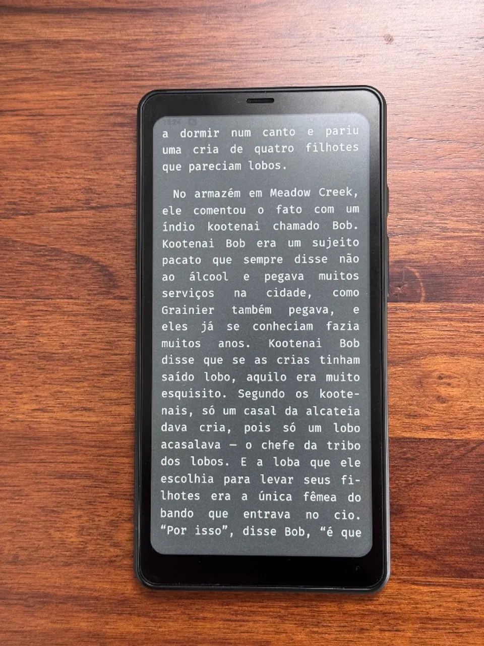 BOOX Palma - E-reader Android, tela 6.13" E Ink, 6GB RAM + 128GB - Foto 3