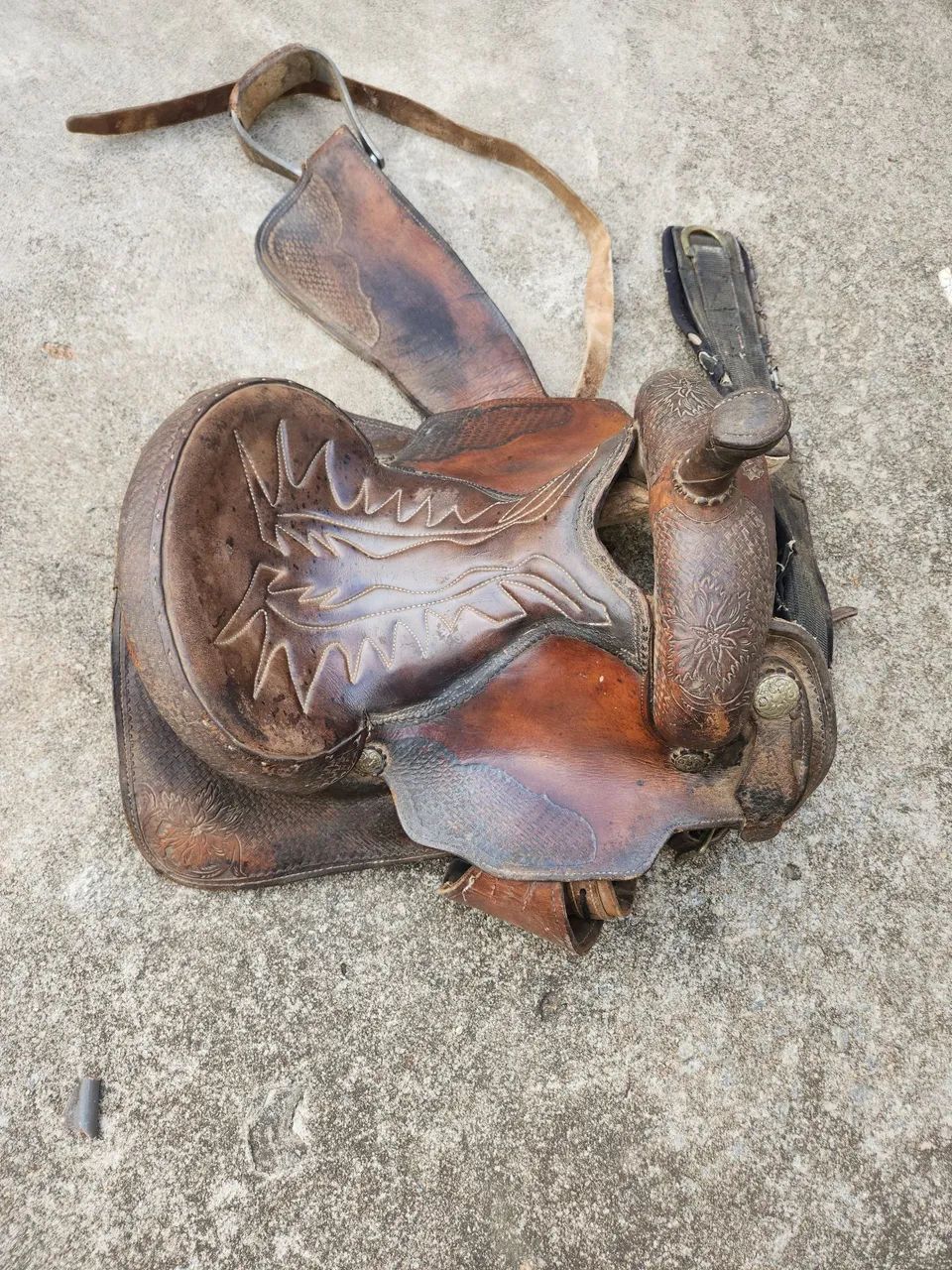 Cela pra cavalo 