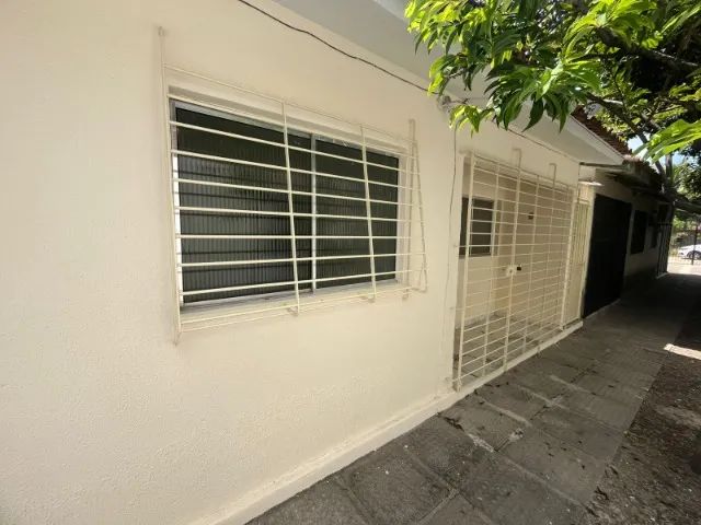 Foto - Paulista - Pau Amarelo
