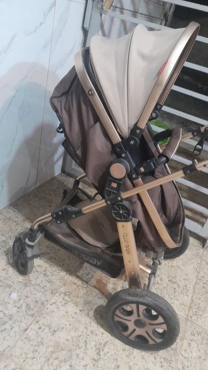 Carrinho de bebê Moisés 