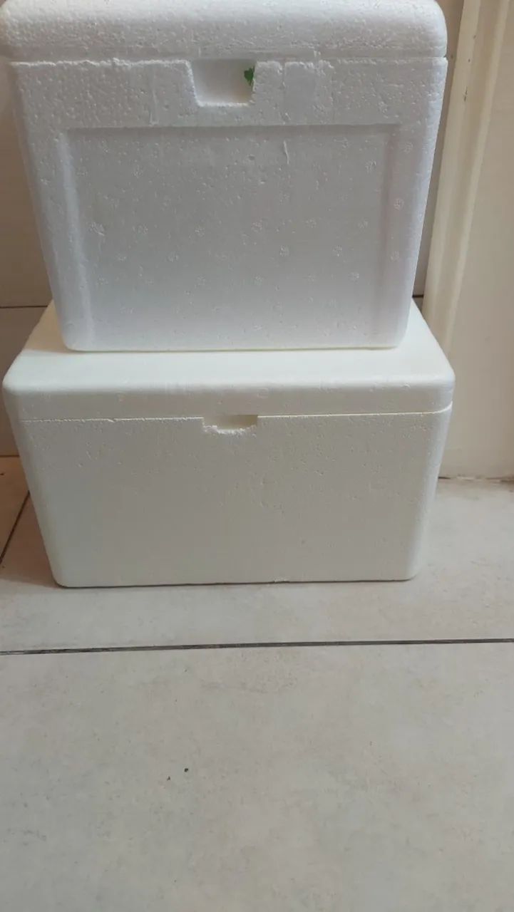 Kit (7 caixas térmicas): Uma de 9L e Seis de 6L - Foto 3