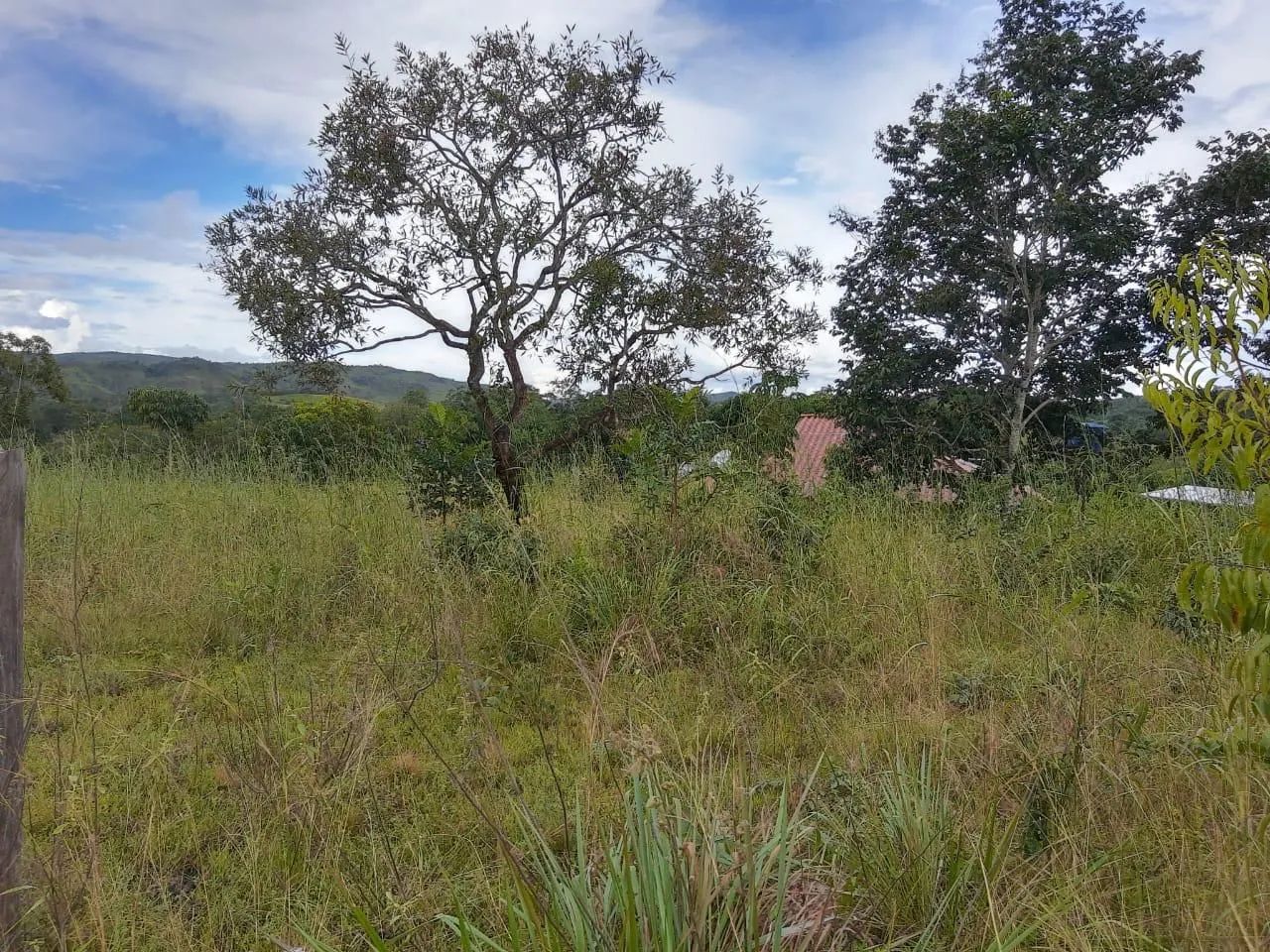 Fazenda GO Cavalcante GO 241 - Foto 5