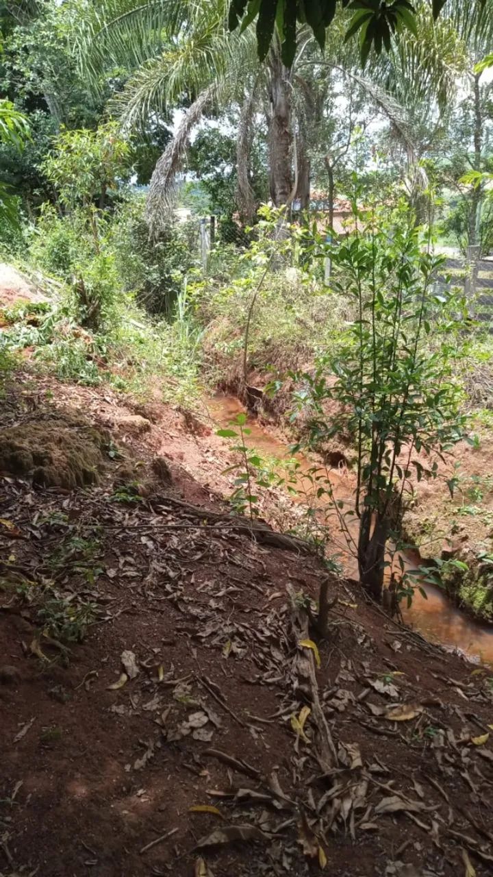 Chácara a venda - Foto 4