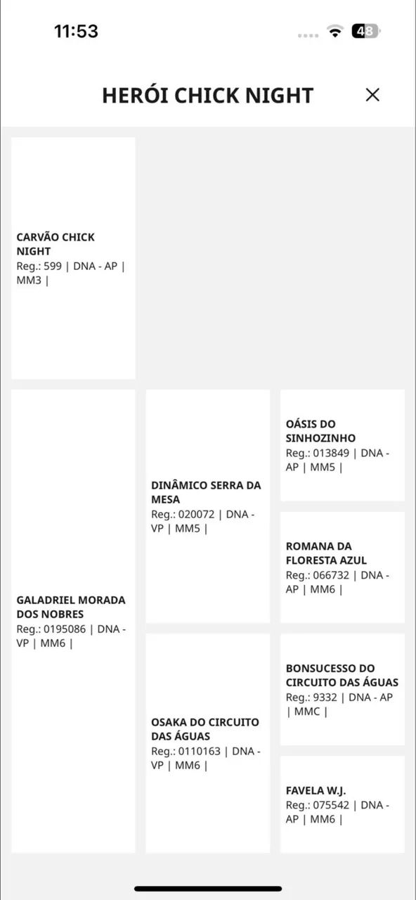 Potro mangalarga  - Foto 4