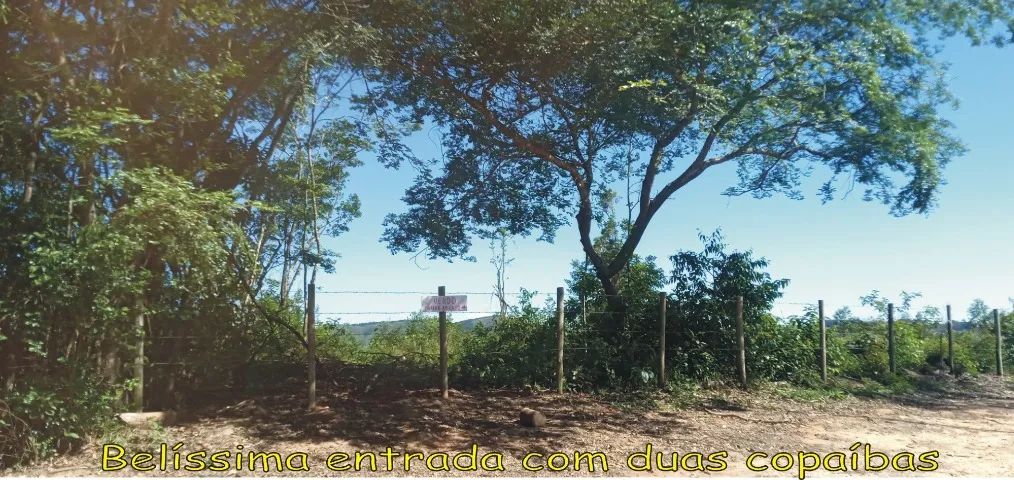 Terreno com 20.000 m² em Desterro de Entre Rios 