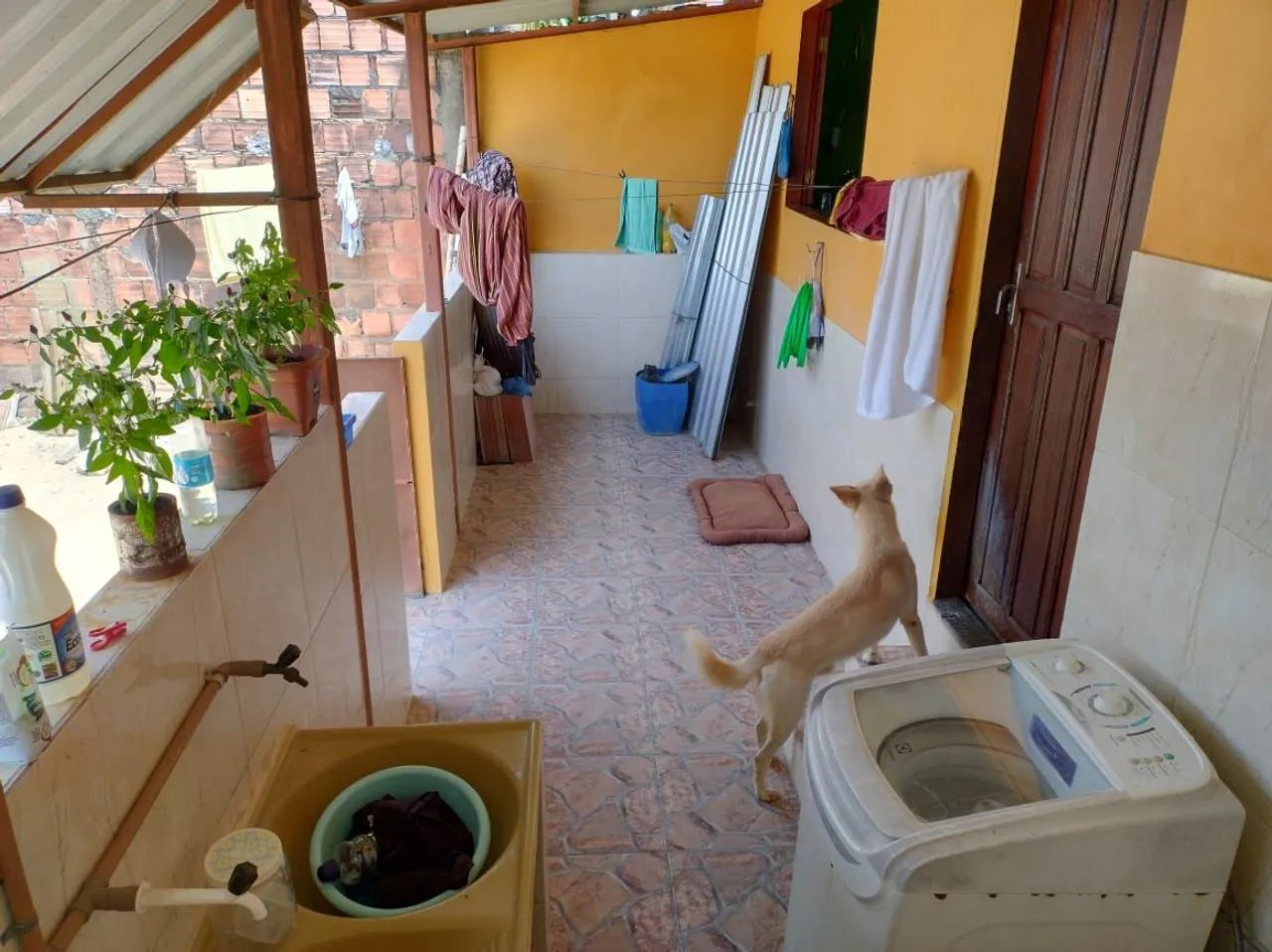 Foto - Manaus - Gilberto Mestrinho