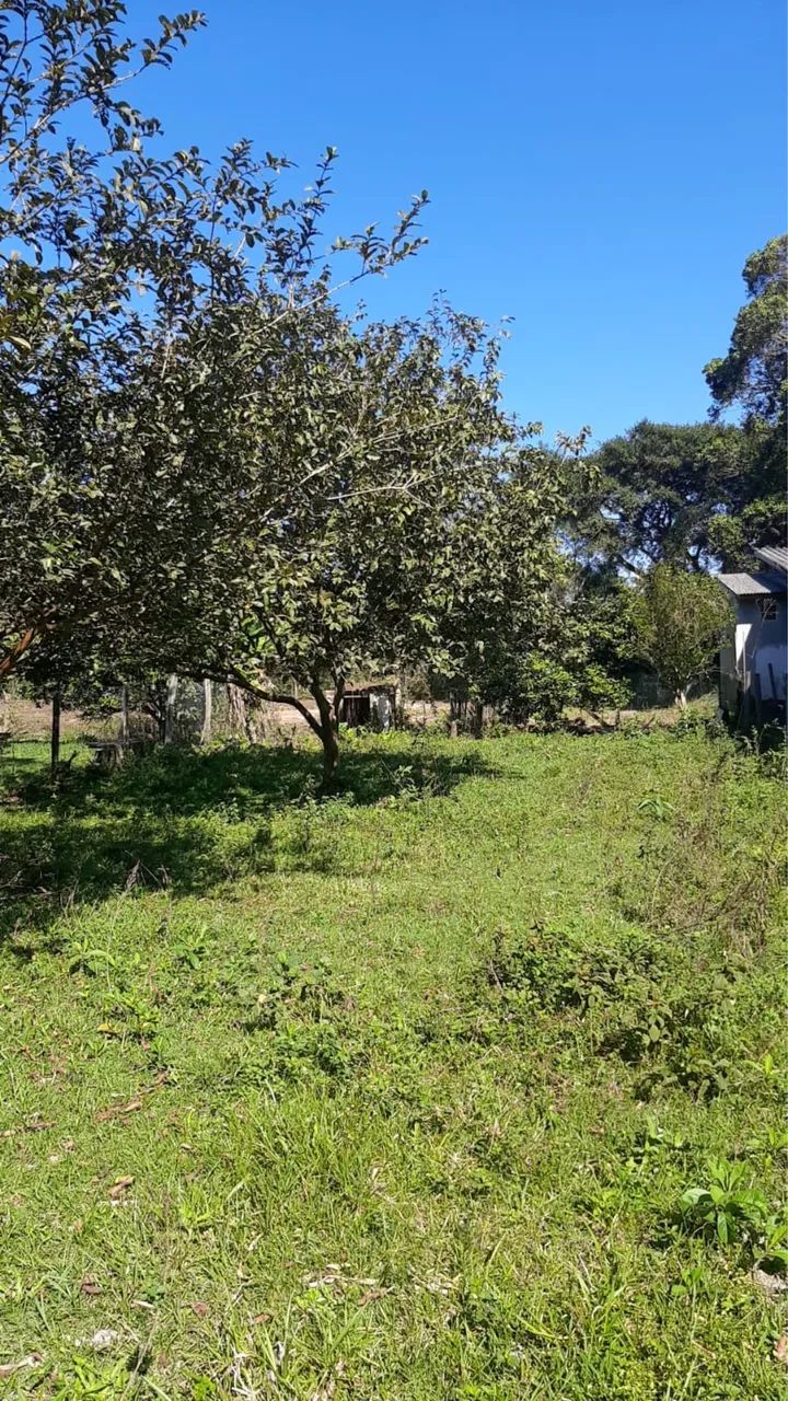 TERRENO 343m² EM GAROPABA - PRÓXIMO À SURFLAND Escriturado - Foto 5