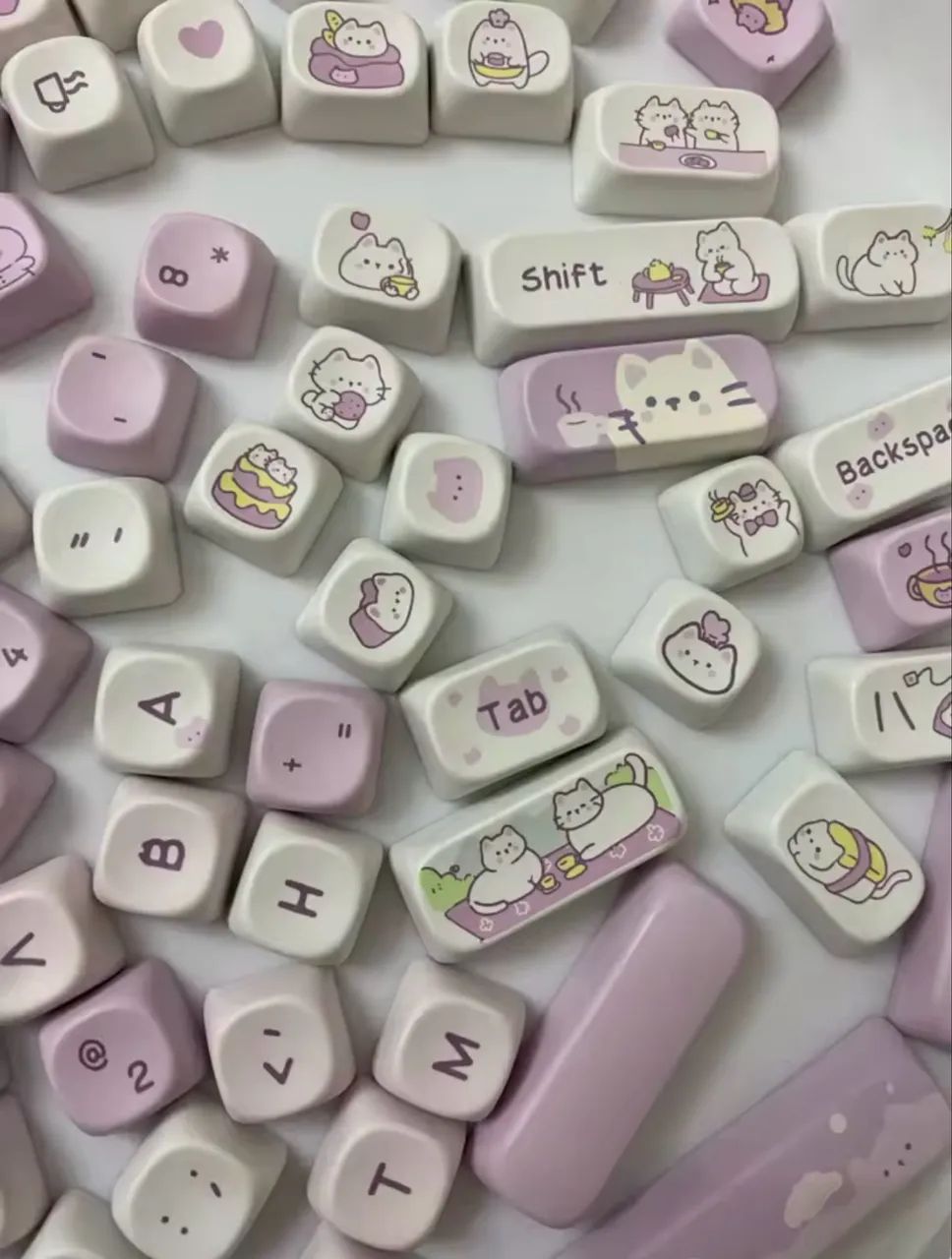 KayCaps Gatinho