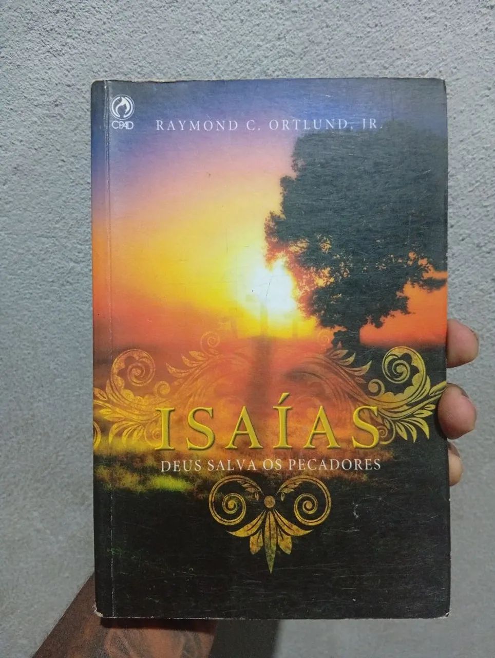 Isaias Deus salva os pecadores 