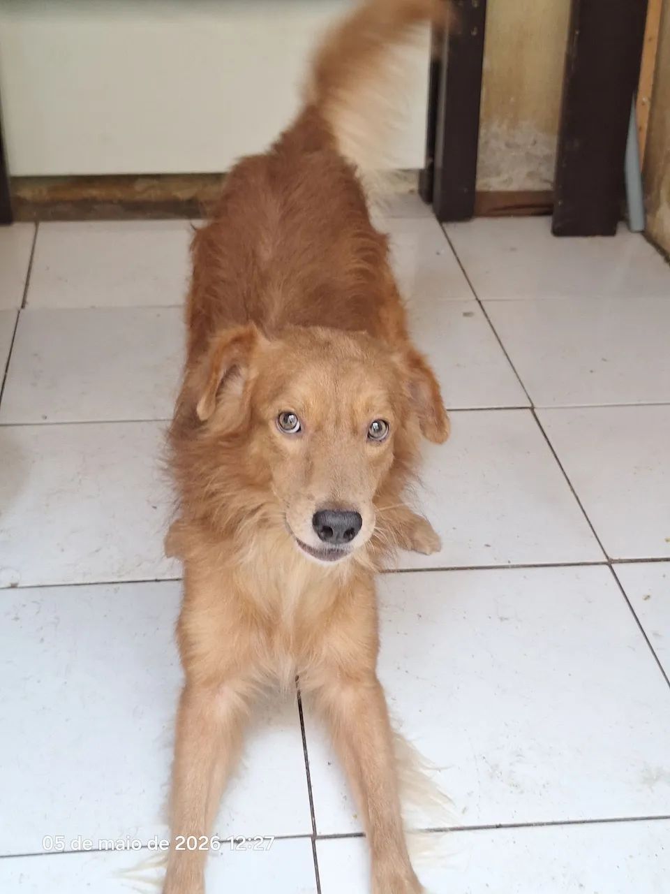 Doação  - Foto 4