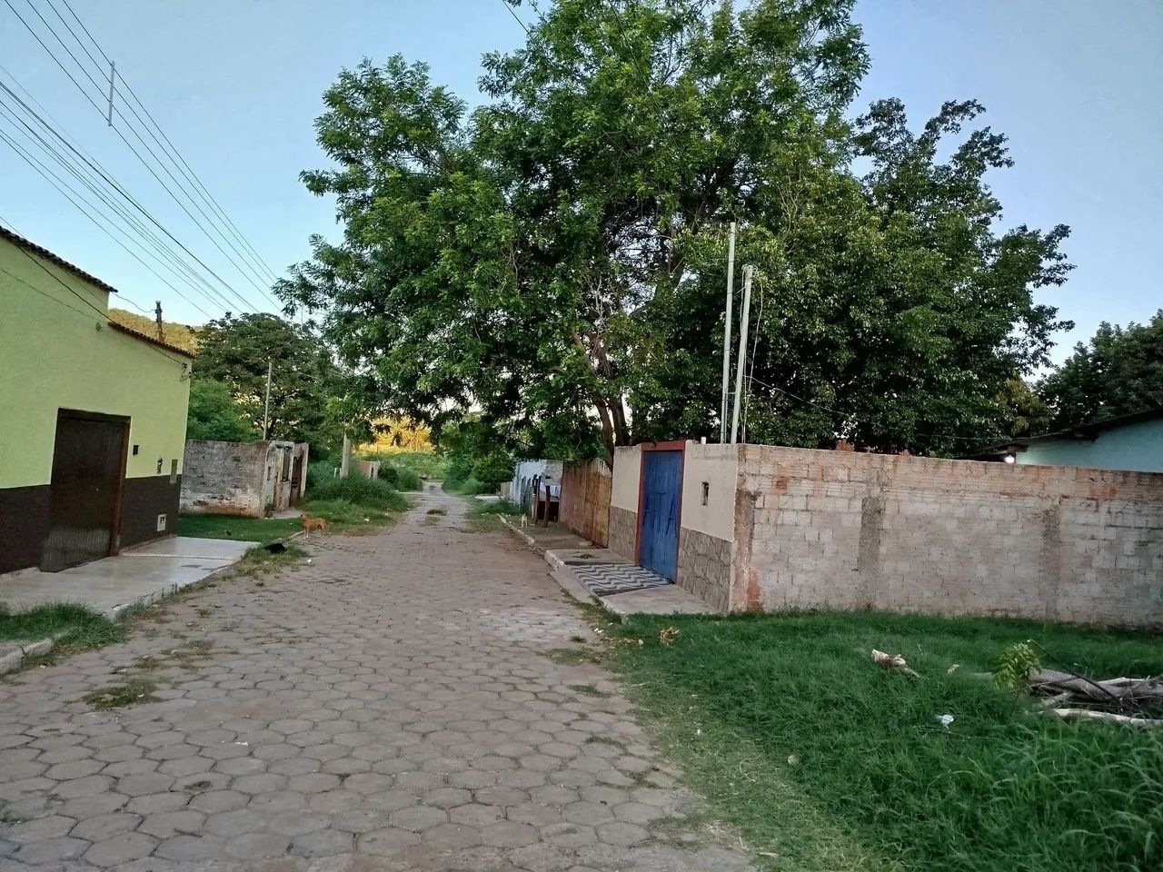 Vendo Terreno Bem Localizado - Foto 3
