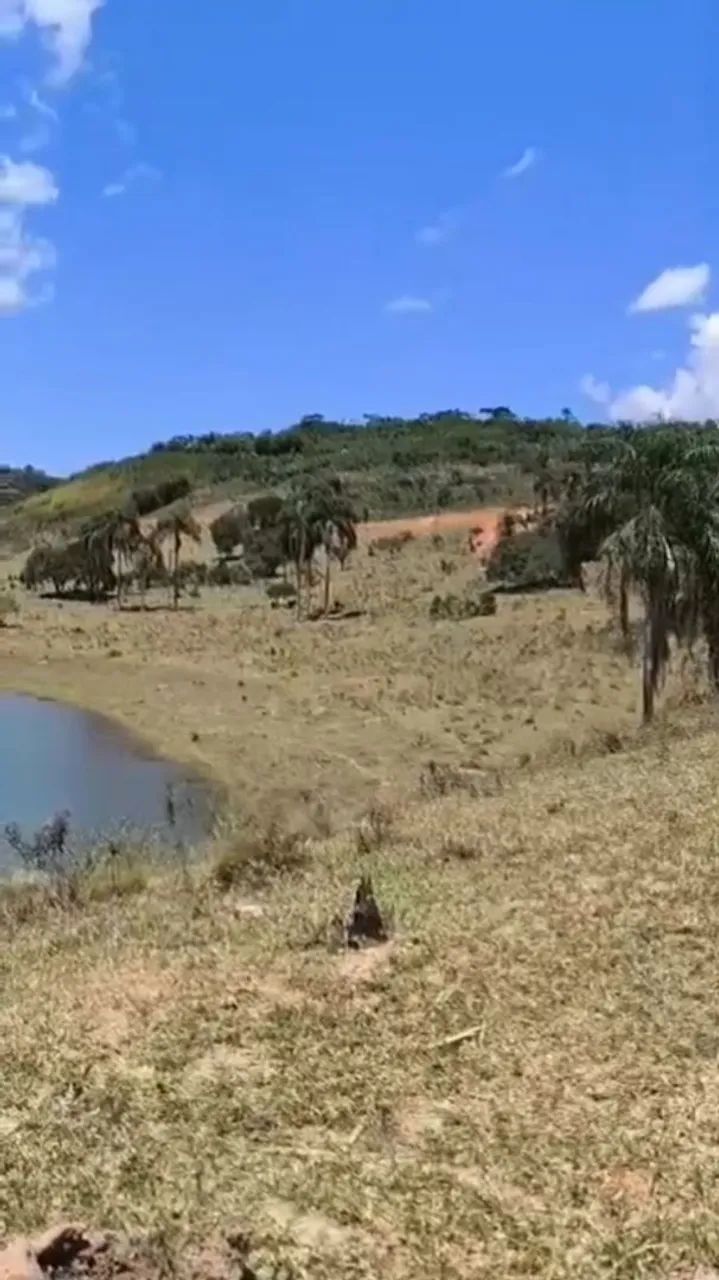 Foto - Taubaté - Vila São José