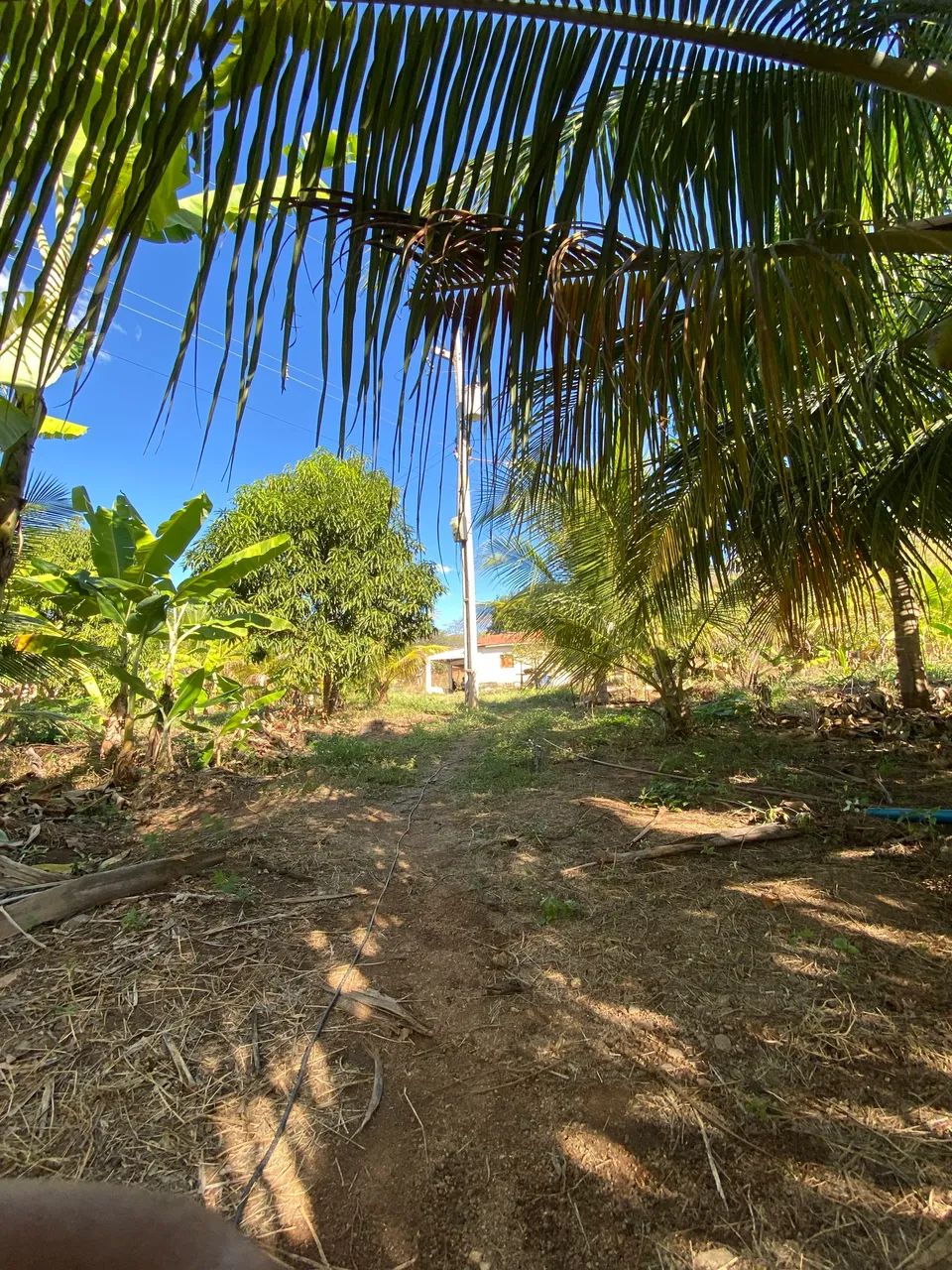 vendo casa, preço a negociar pessoalmente  - Foto 3