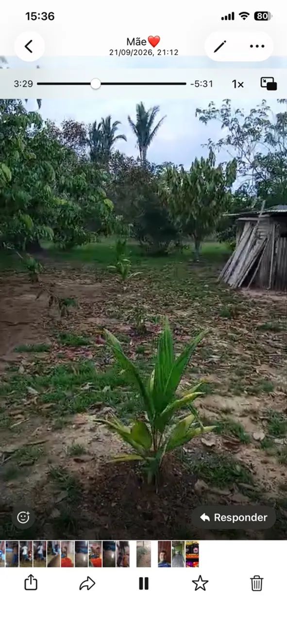 chácara a venda  - Foto 4
