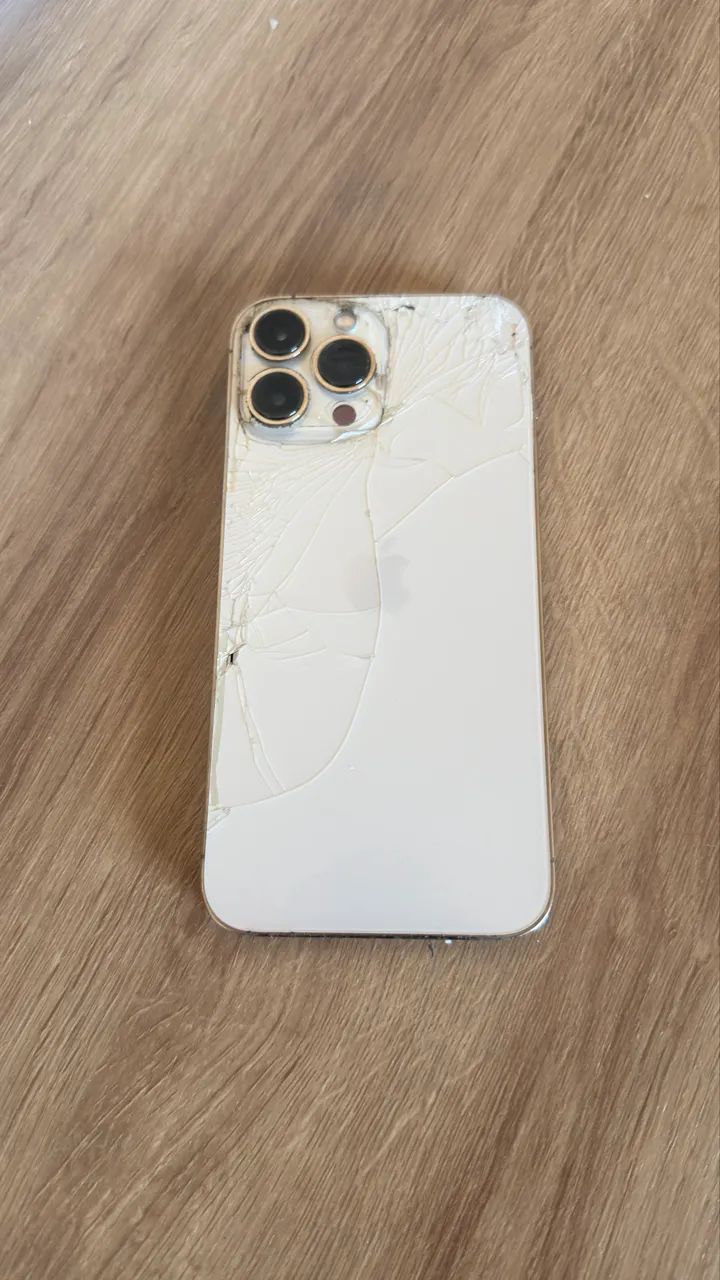 Iphone 13 pro max 256g
