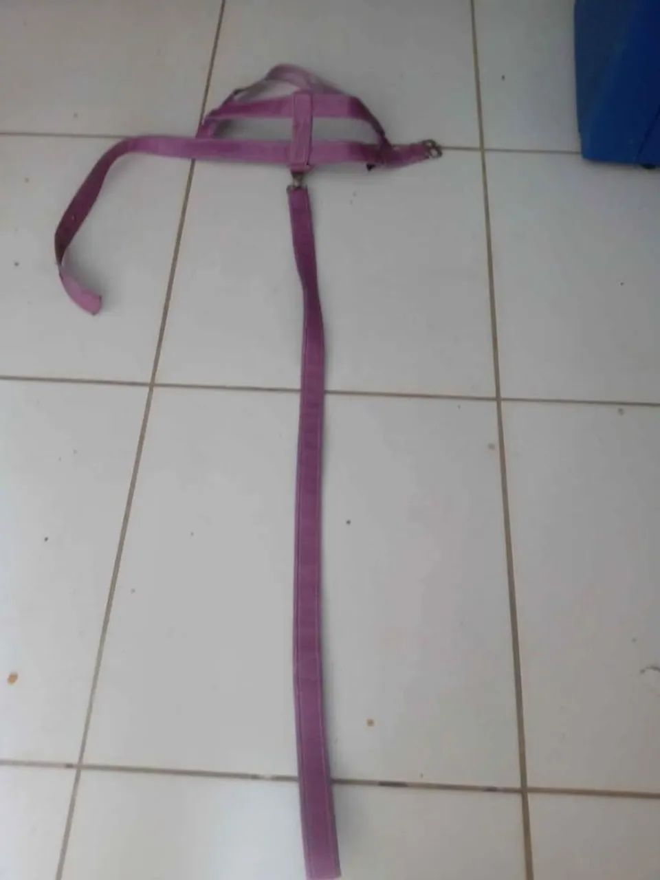 Coleira mais guia para cachorros de grande porte R$ 10,00 - Foto 3